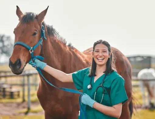 Valor da faculdade de Medicina Veterinária: investimento e benefícios